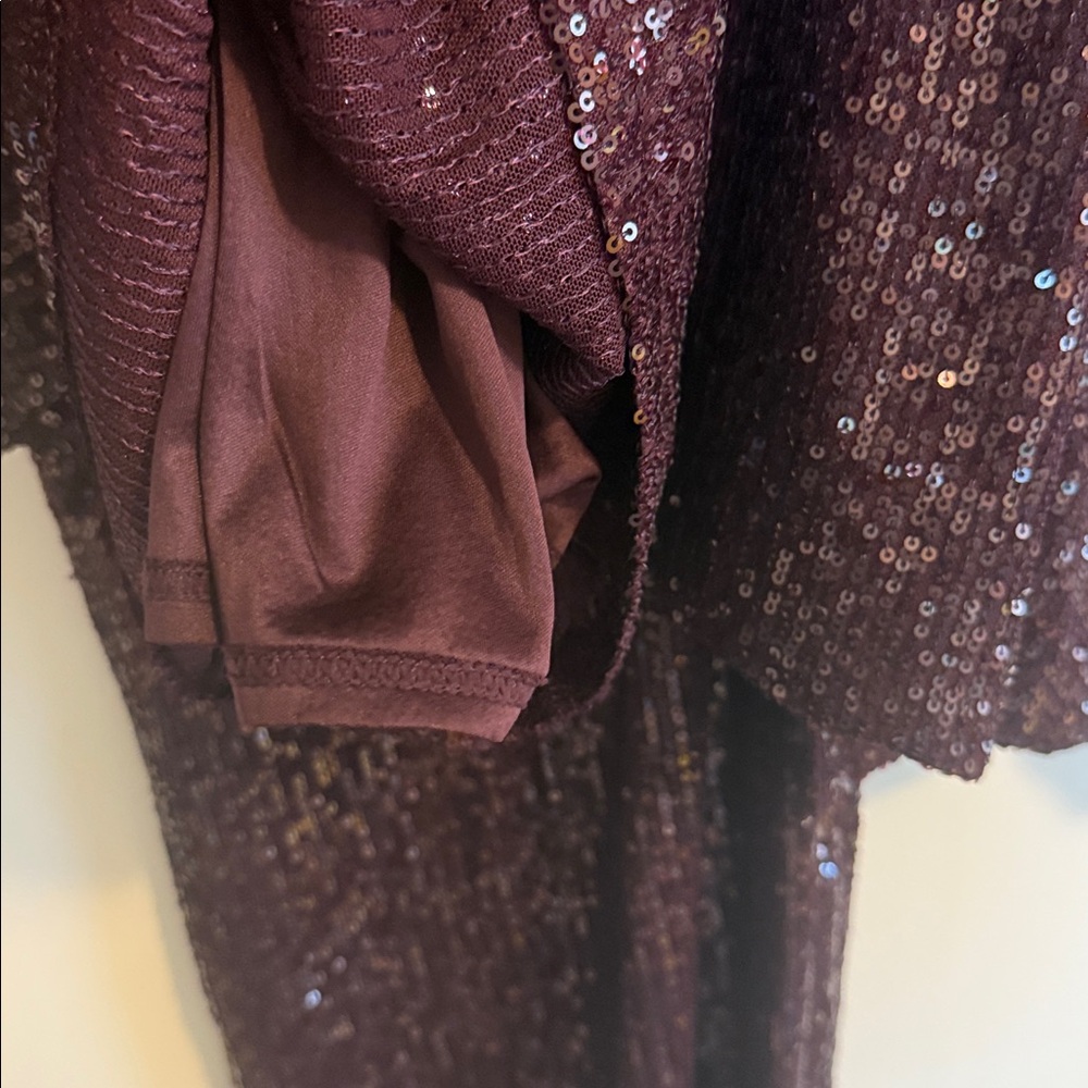 Mango Deep Purple Sequin Blazer and Pants Set - Picture 15 of 16
